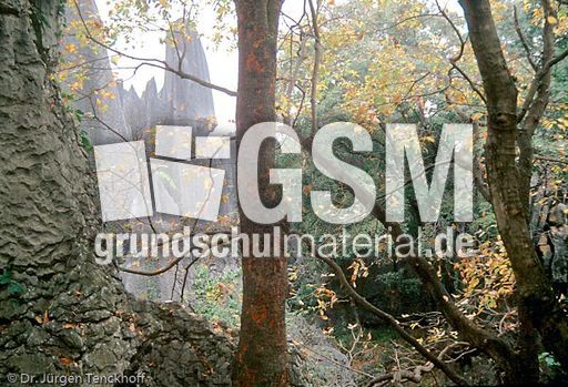 China (75 von 257).jpg